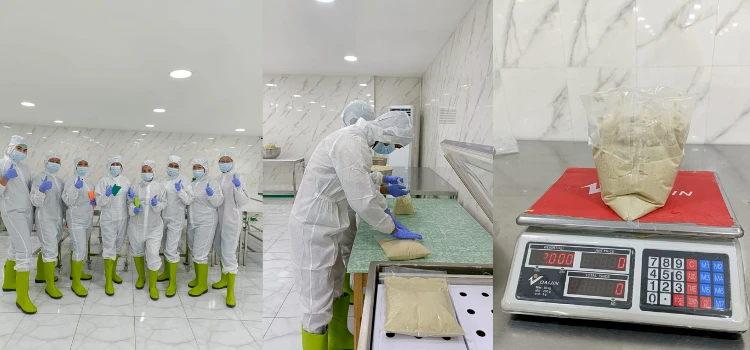 Pabrik  Durian Paste, Durian Puff, Durian Pulp terbesar dikota medan
